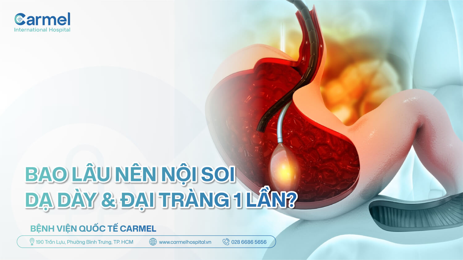 Bao lâu nên nội soi dạ dày, đại tràng 1 lần? Lịch kiểm tra theo từng độ tuổi