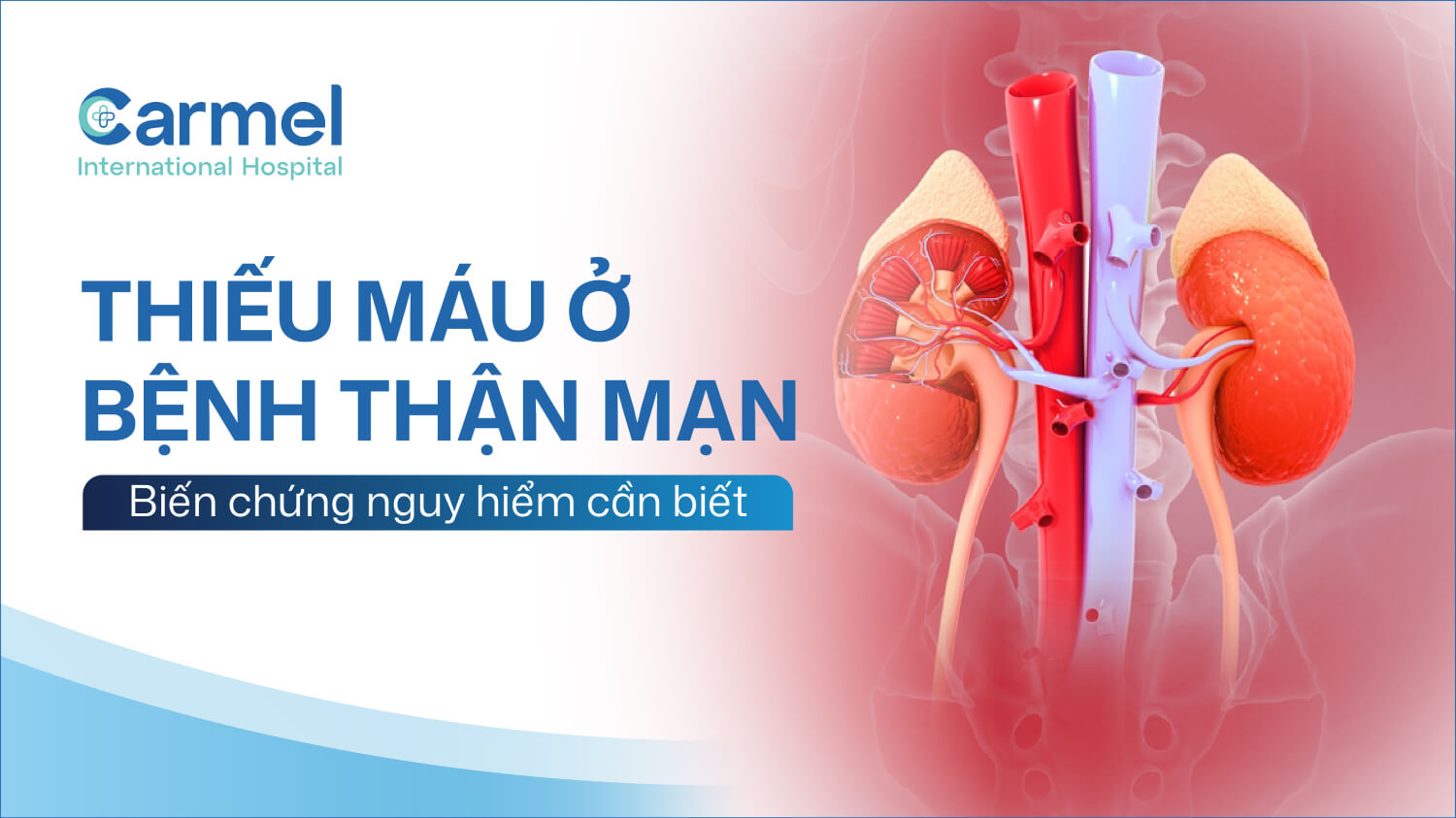 Thiếu máu ở bệnh thận mạn là gì? Dấu hiệu cảnh báo và biến chứng nguy hiểm cần biết