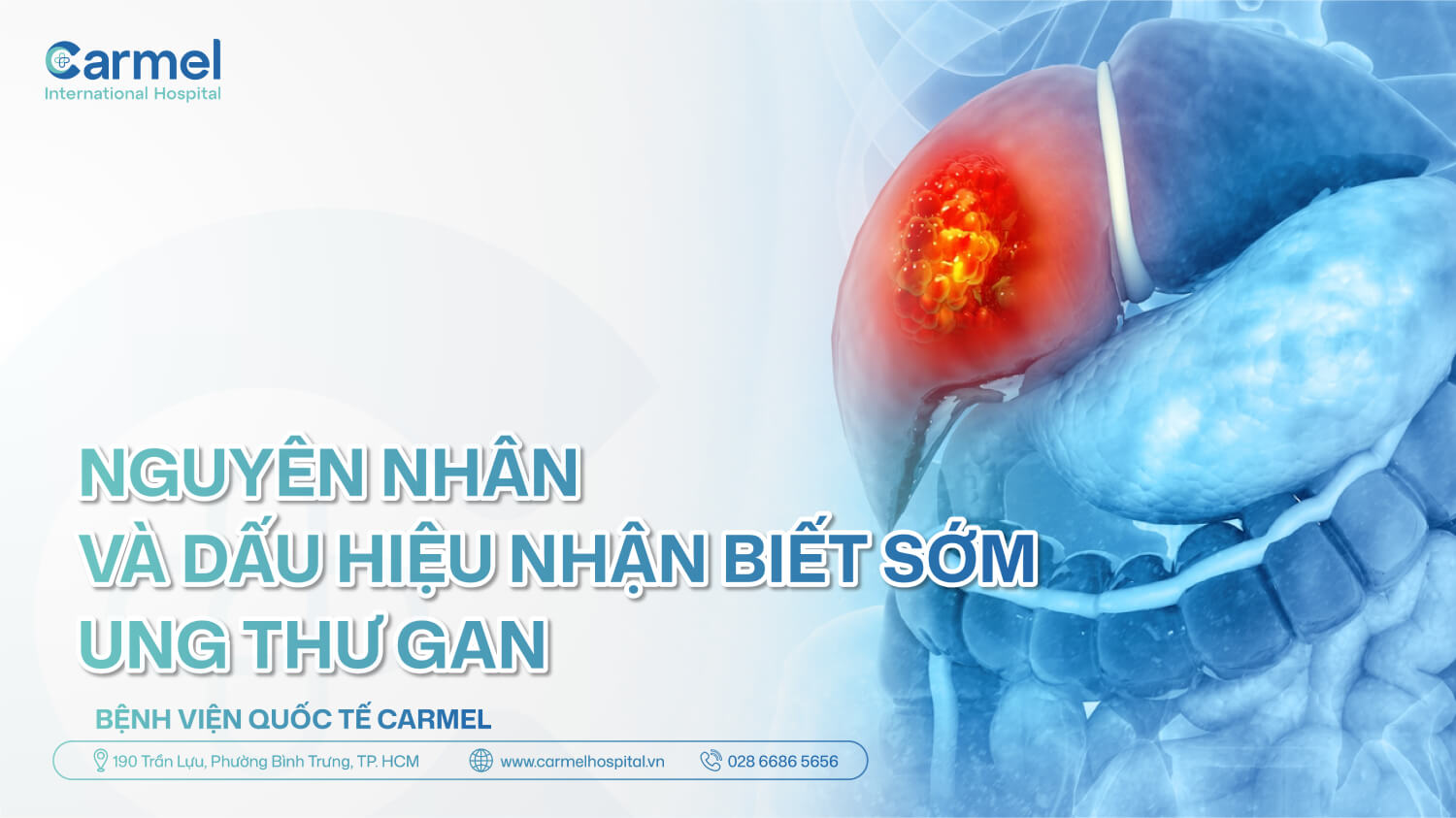 Ung thư gan là gì? Nguyên nhân và dấu hiệu sớm nhiều người bỏ qua