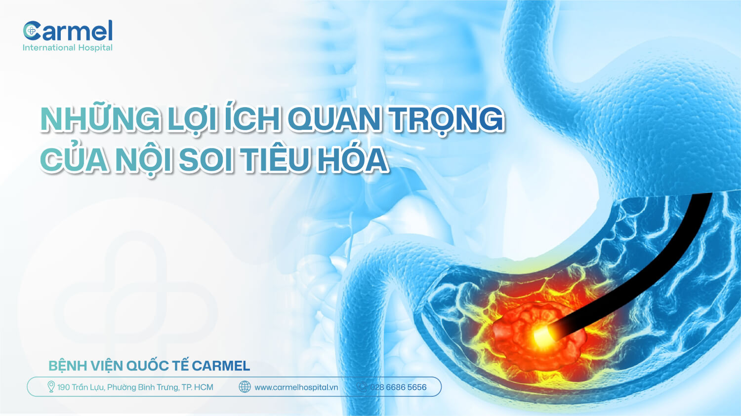 Vai trò của nội soi tiêu hóa và những lợi ích quan trọng bạn cần biết