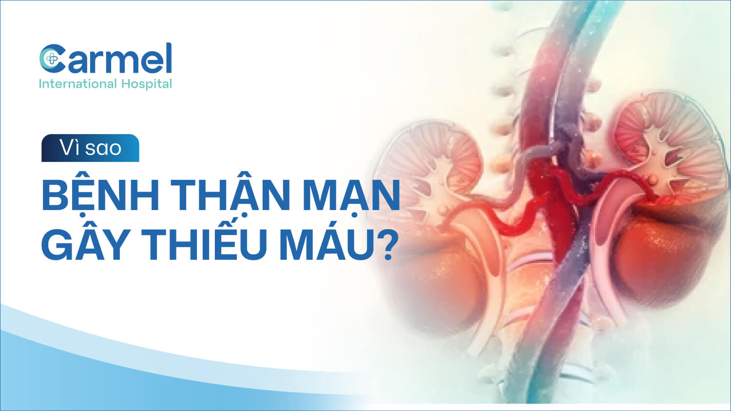 Vì sao bệnh thận mạn gây thiếu máu? Những nguyên nhân quan trọng cần biết